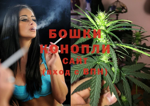 крисы Верхний Тагил