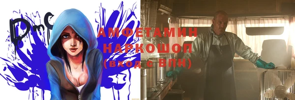 крисы Верхний Тагил