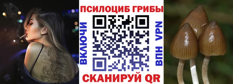 гидра вход закладка Батайск Псилоцибиновые грибы мухоморы